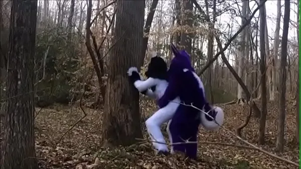 Nowe Fursuit Couple Mating in Woods moich filmach